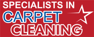 Carpet Cleaning